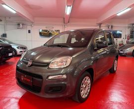 Fiat Panda 1.2 Easy OK NEO PATENTATI