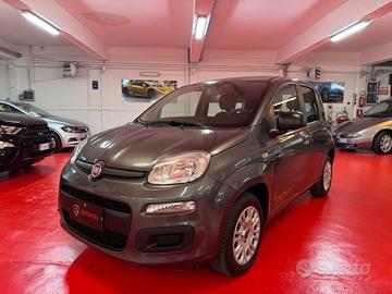 Fiat Panda 1.2 Easy OK NEO PATENTATI