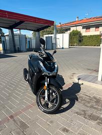 Sh 125 2022