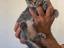 Immagine 4