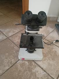 Microscopio Leitz Laborlux K.