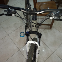 Montanbike misura 26