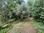 Immagine 13