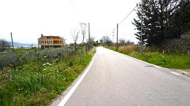 TER. AGRICOLO A MONTECORVINO PUGLIANO