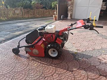 Mototrincia erba MGM