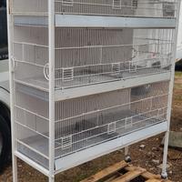 Batteria per uccelli 