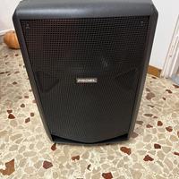 Cassa amplificata 15 pollici