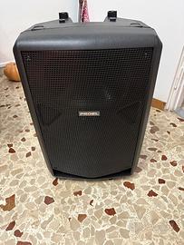 Cassa amplificata 15 pollici