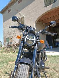 moto archive 250