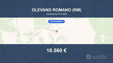 Immobile in asta di 57 m² a Olevano Romano