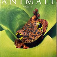 Enciclopedia degli animali per ragazzi