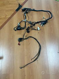 Impianto elettrico Bulldog 1100