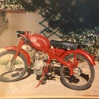 Motom Altro modello - 1961