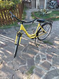 Bici donna 26