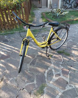 Bici donna 26