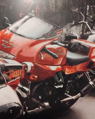Carene Moto Guzzi Racing