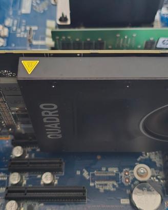 Nvidia Quadro P2000 5 GB GDDR5