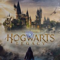 Gioco PS4 Hogwarts Legacy 