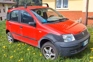 Fiat Panda 4x4 benzina 1.2