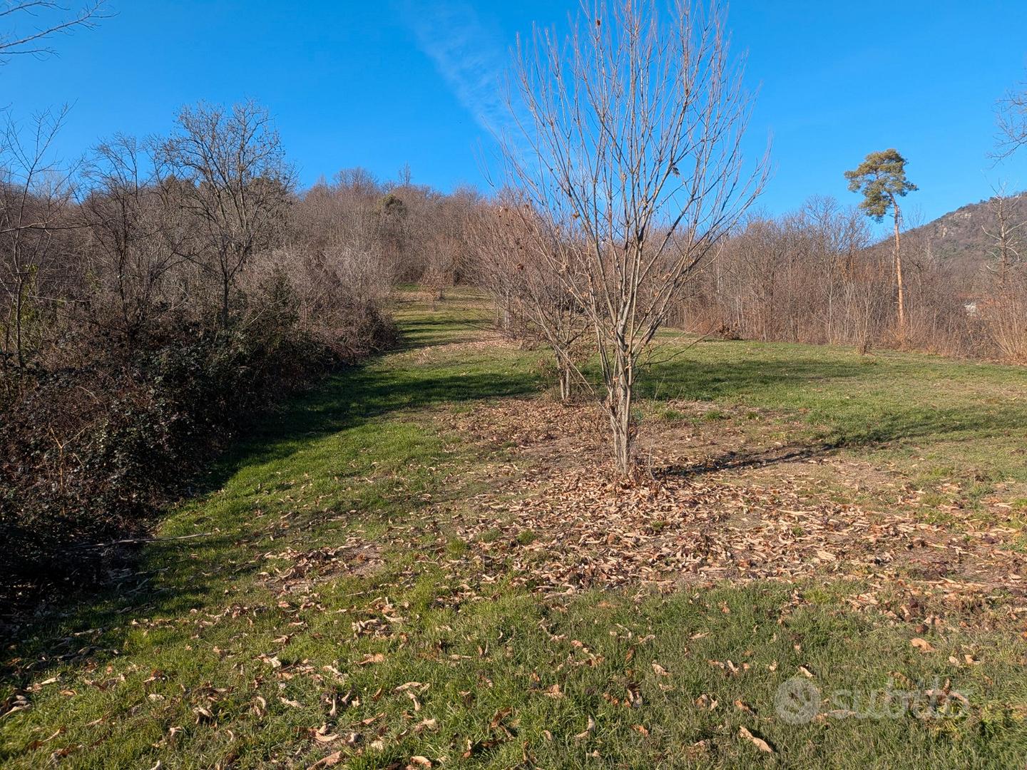 Terreno Agricolo - Vista 5