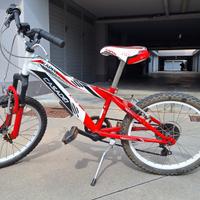 Mountain bike Casadei 20"