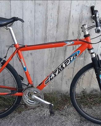 bicicletta mtb ibrida