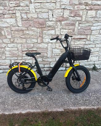 Bici elettrica fat bike