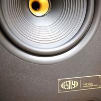 Vestlyd V12C – Diffusori da pavimento 12” ad alta