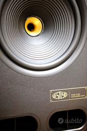 Vestlyd V12C – Diffusori da pavimento 12” ad alta