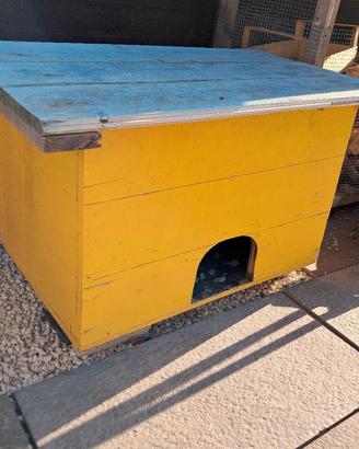 casetta animali cane, gatto, coniglio, gallina