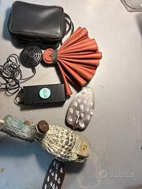 richiamo elettronico per uccelli