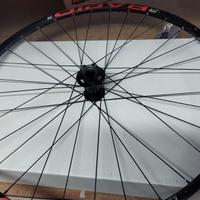 Cerchio anteriore 29 pollici Cannondale Lefty