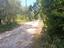 Immagine 20