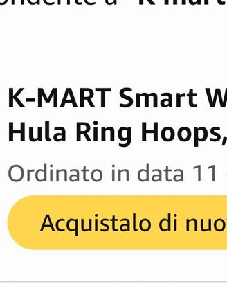 Smart Hula Hoop ponderato 24 elementi- nuovo
