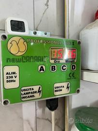 Alba tramonto e gabbie 120x40