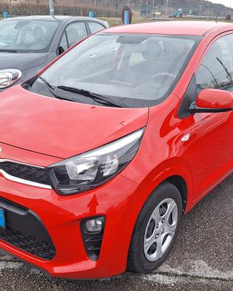 Kia Picanto 1.0 5 porte UNIPRO NEOPATENTATI