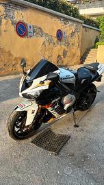 Zx6r performance 2006 carbon
