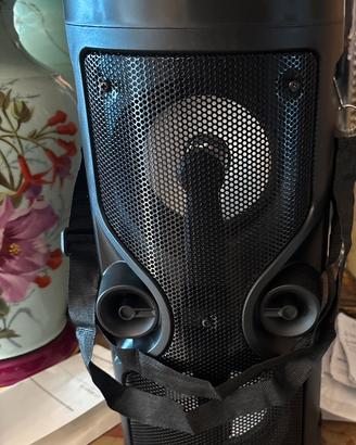 Cassa bluetooth
