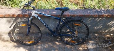 bicicletta 