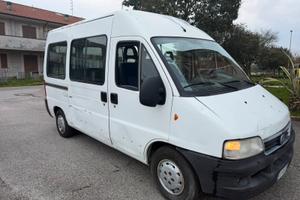 Fiat ducato 8 post