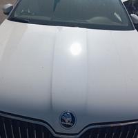 Cofano SKODA SUPERB 2018