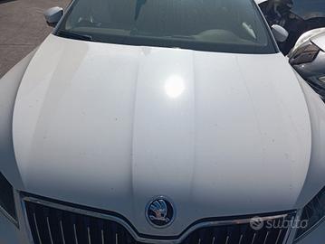 Cofano SKODA SUPERB 2018
