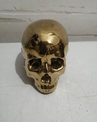Teschio salvadanaio color oro