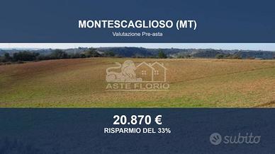 Immobile in asta di 46370 m² a Montescaglioso