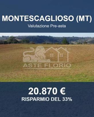 Immobile in asta di 46370 m² a Montescaglioso