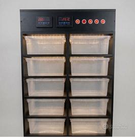 Rack Nuovo