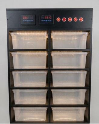 Rack Nuovo