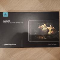 Huion Kamvas pro 13