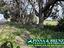 Immagine 15