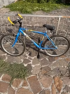 Bicicletta frera
